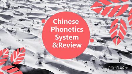 Chinese Phonetics System &Review.