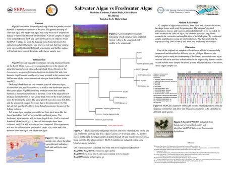 Saltwater Algae vs Freshwater Algae