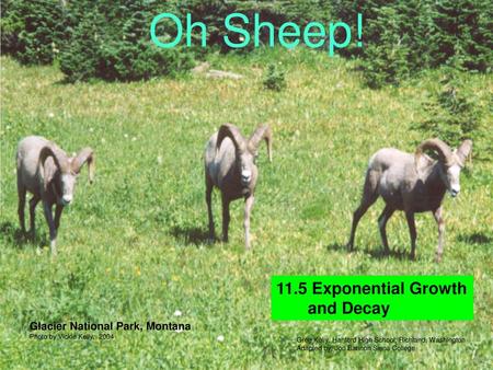 Oh Sheep! 11.5 Exponential Growth and Decay