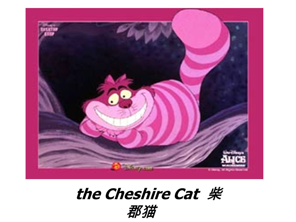 the mad hatter帽匠the march hare三月兔 the cheshire cat  柴
