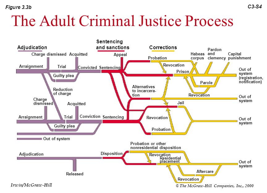 Criminal Justice Process Chart