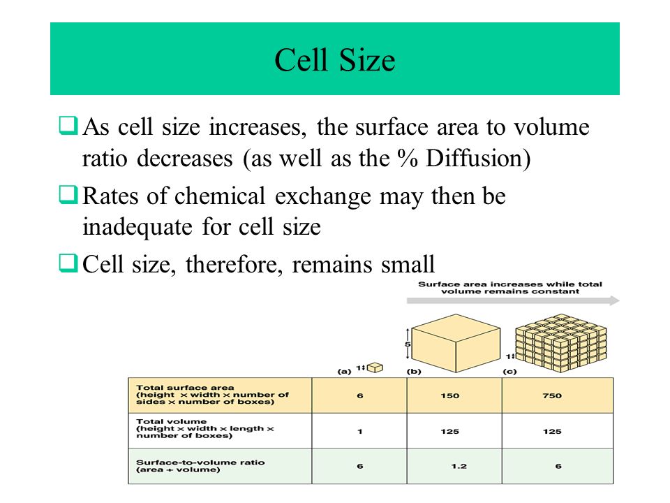 download microarrays: volume 1: synthesis methods