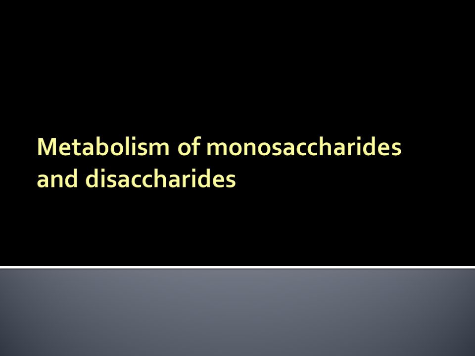 download molecular mechanisms of neurodegenerative diseases