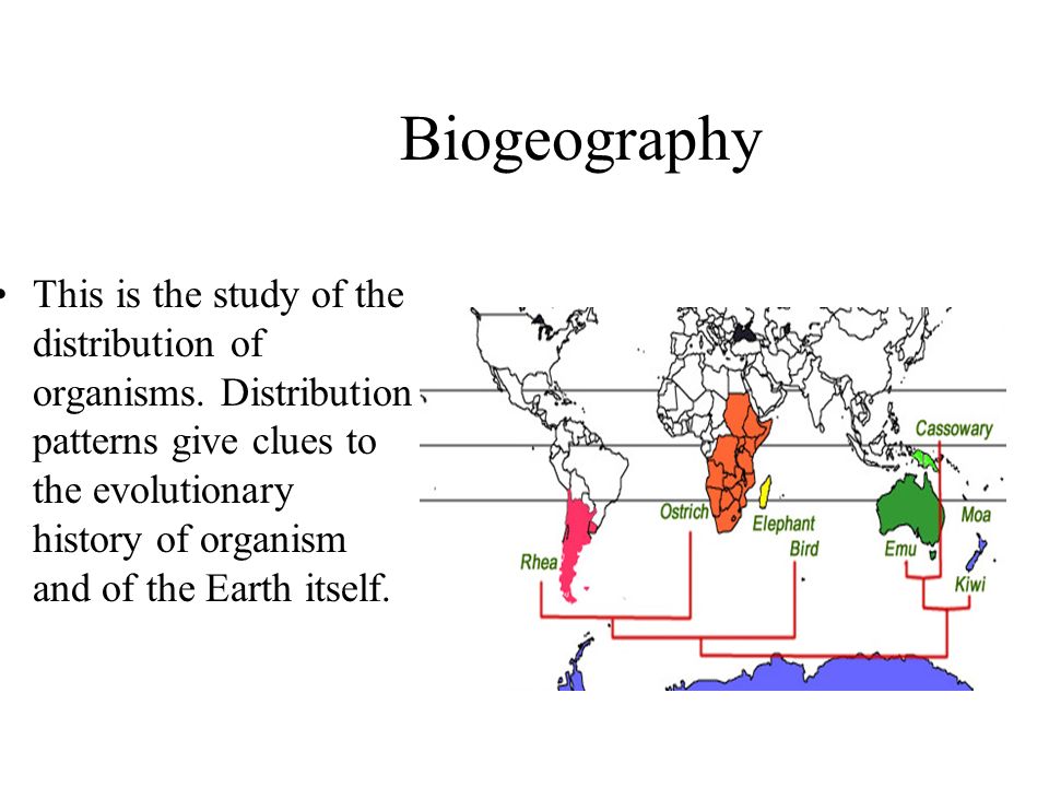 download estimating the effects of social