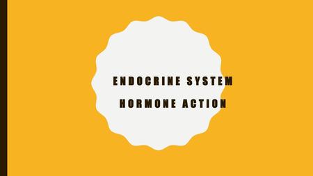 ENDOCRINE SYSTEM Hormone Action
