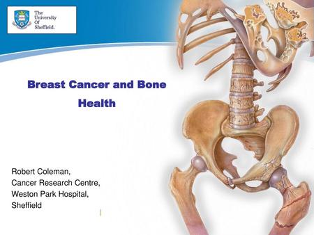 Breast Cancer and Bone Health