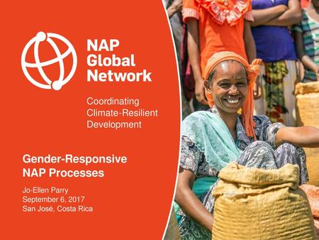 Gender-Responsive NAP Processes