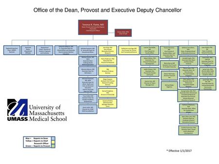 Office of the Dean, Provost and Executive Deputy Chancellor