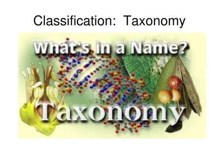 Classification: Taxonomy