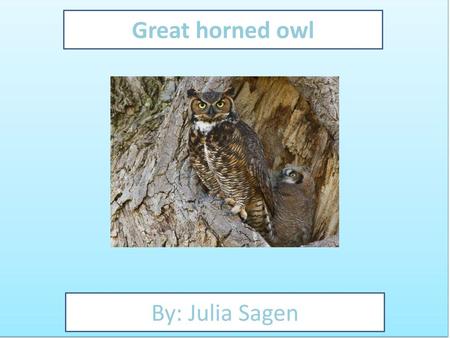 Great horned owl By: Julia Sagen