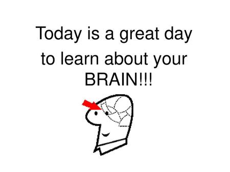 to learn about your BRAIN!!!