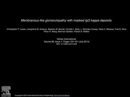 Membranous-like glomerulopathy with masked IgG kappa deposits
