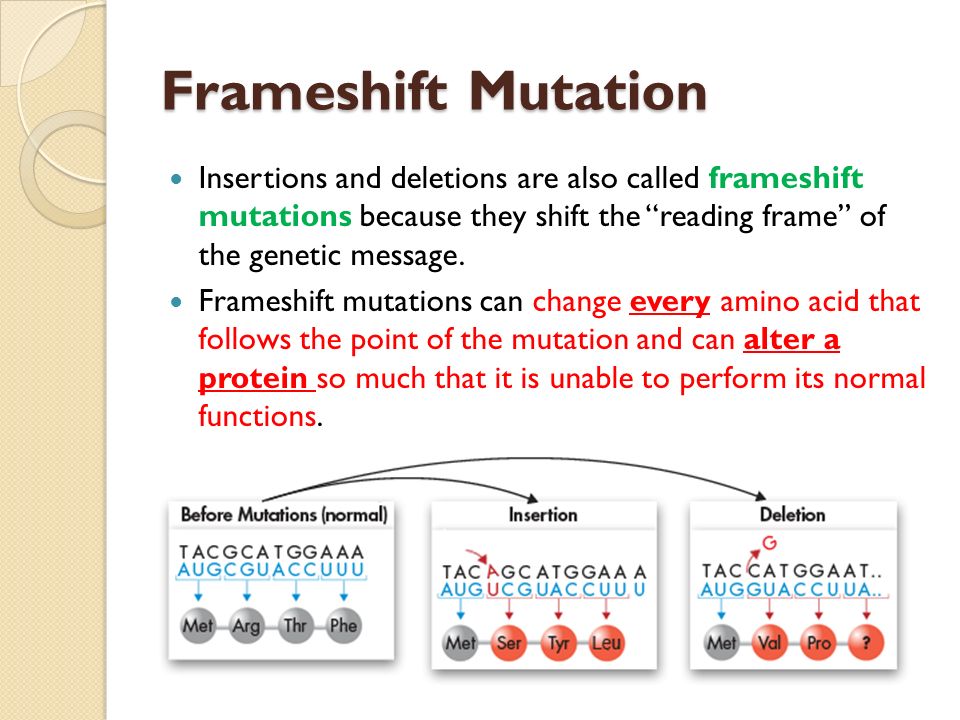 download bounding biomedicine evidence and