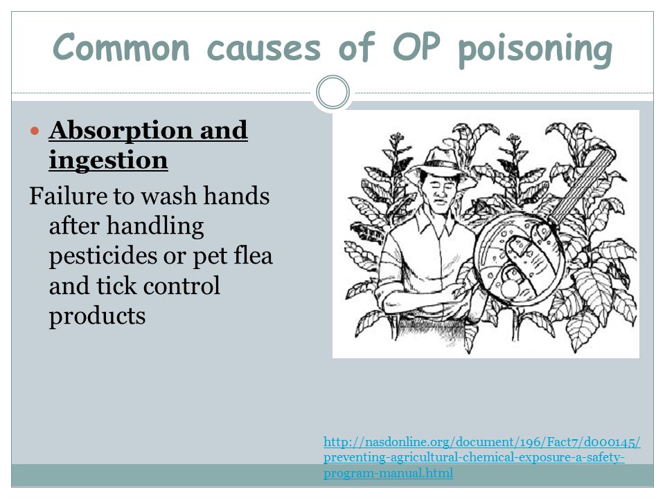 Organophosphate Poisoning Ppt Organophosphate Poisoning Ppt