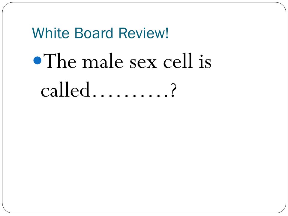 What Is The Male Sex Cell Called 50