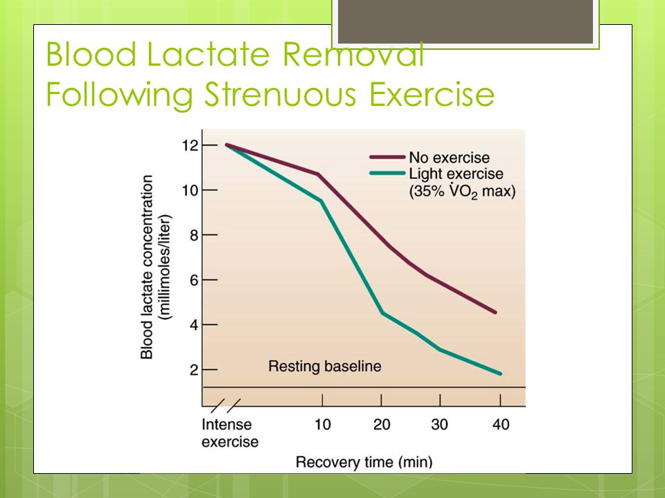 Blood+Lactate+Removal+Following+Strenuous+Exercise.jpg