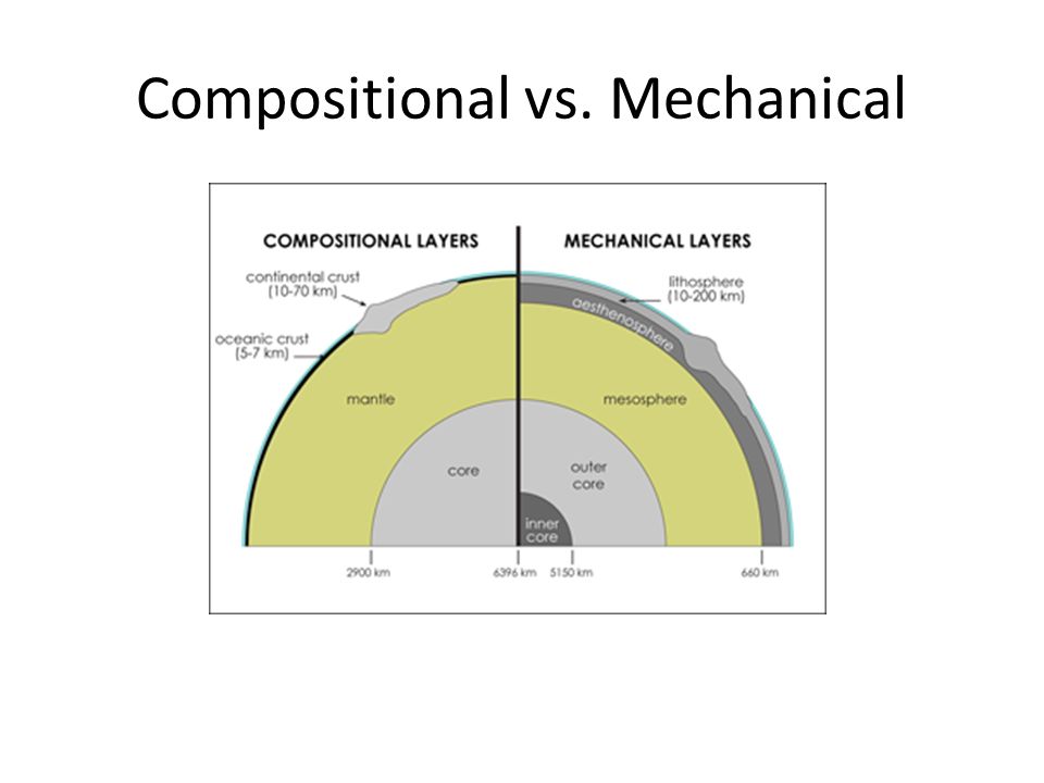 buy worm composting