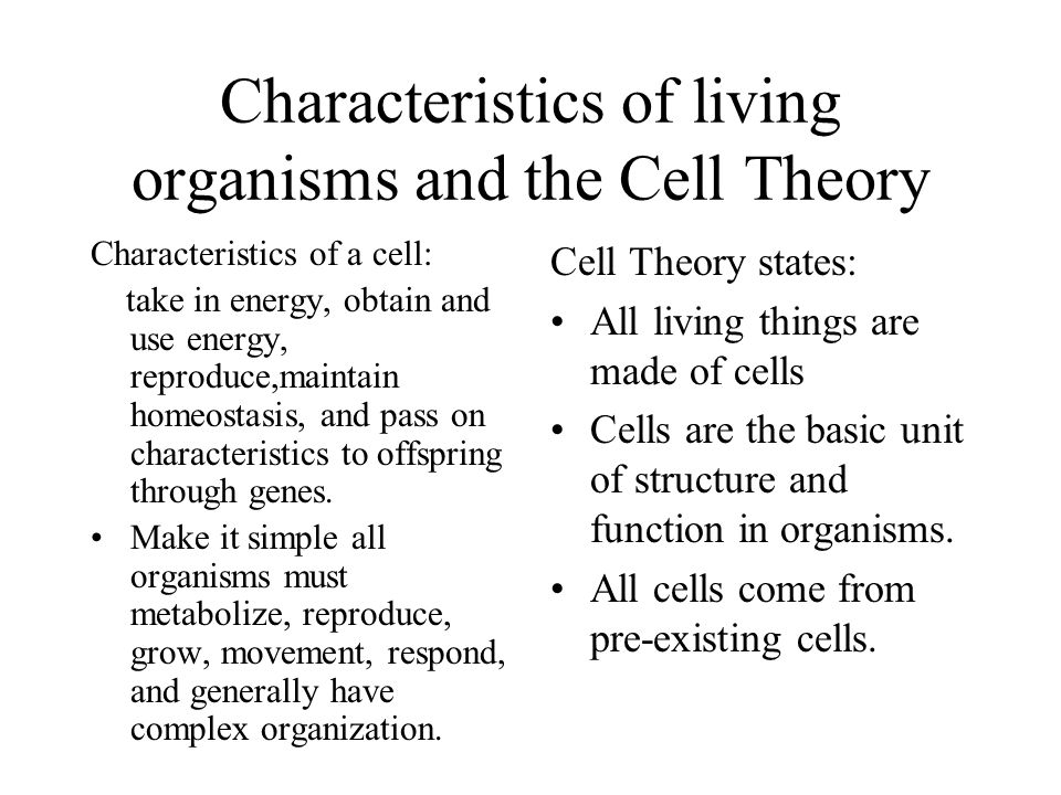 MORPHOLOGY PHYSIOLOGY Of LIVING THINGS - Scribd