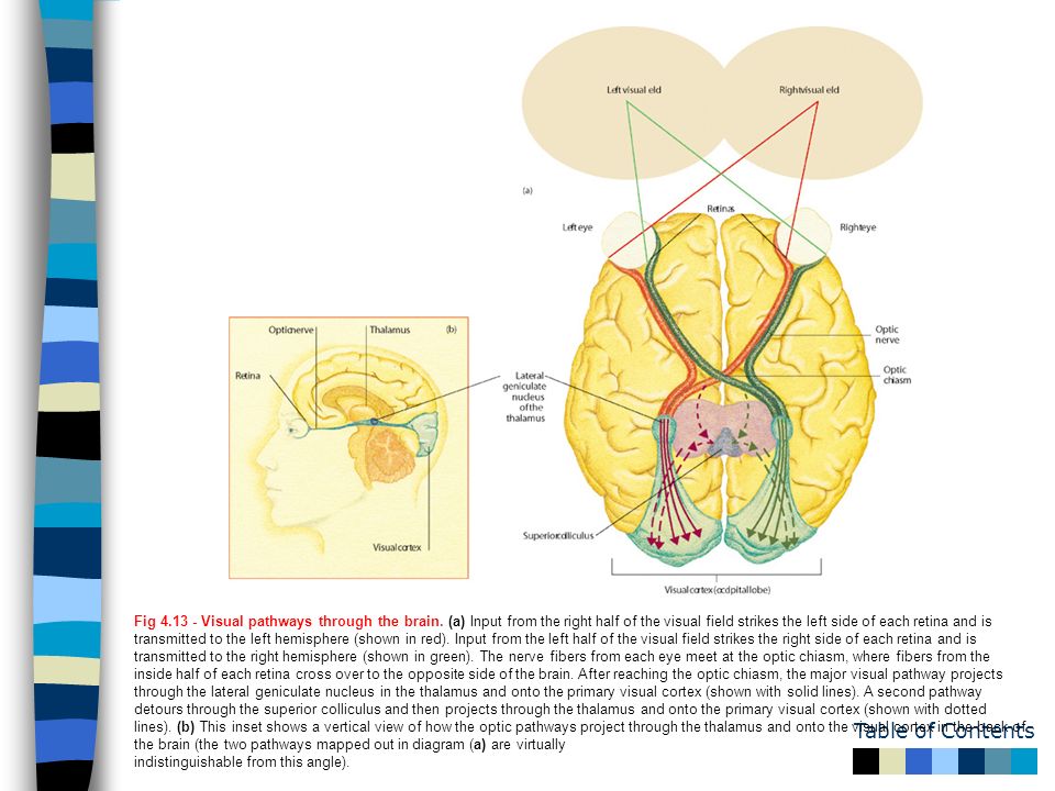 download colloquial