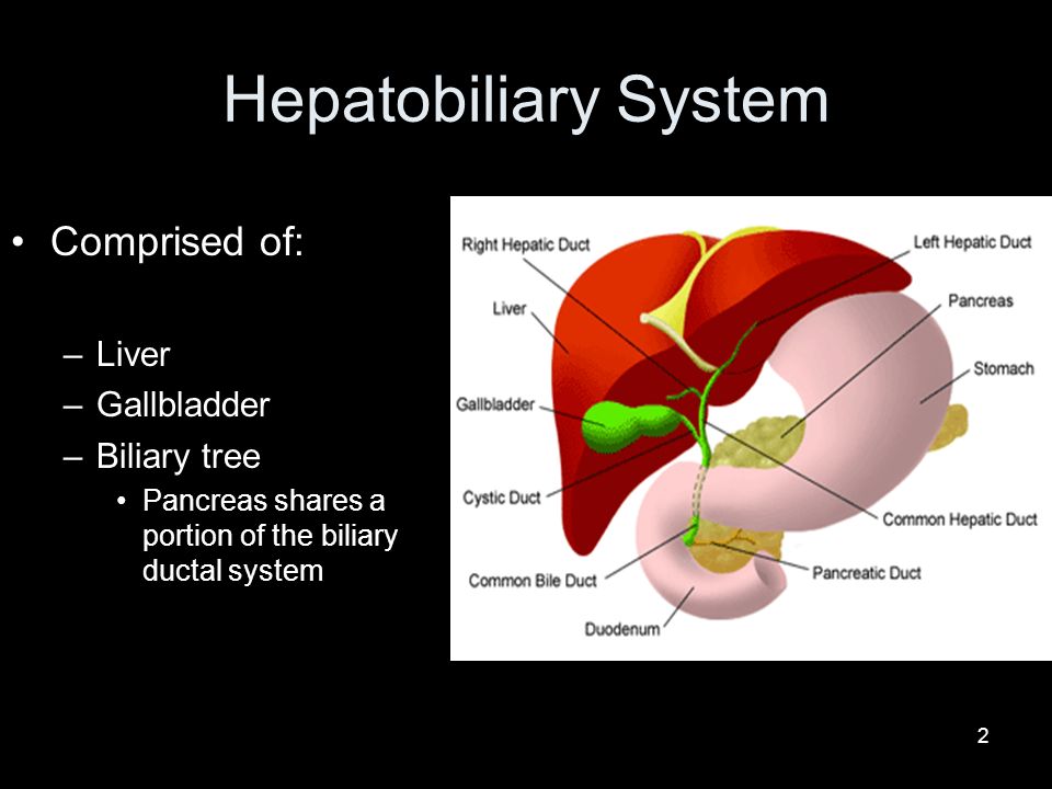 book cardiovascular development methods and protocols