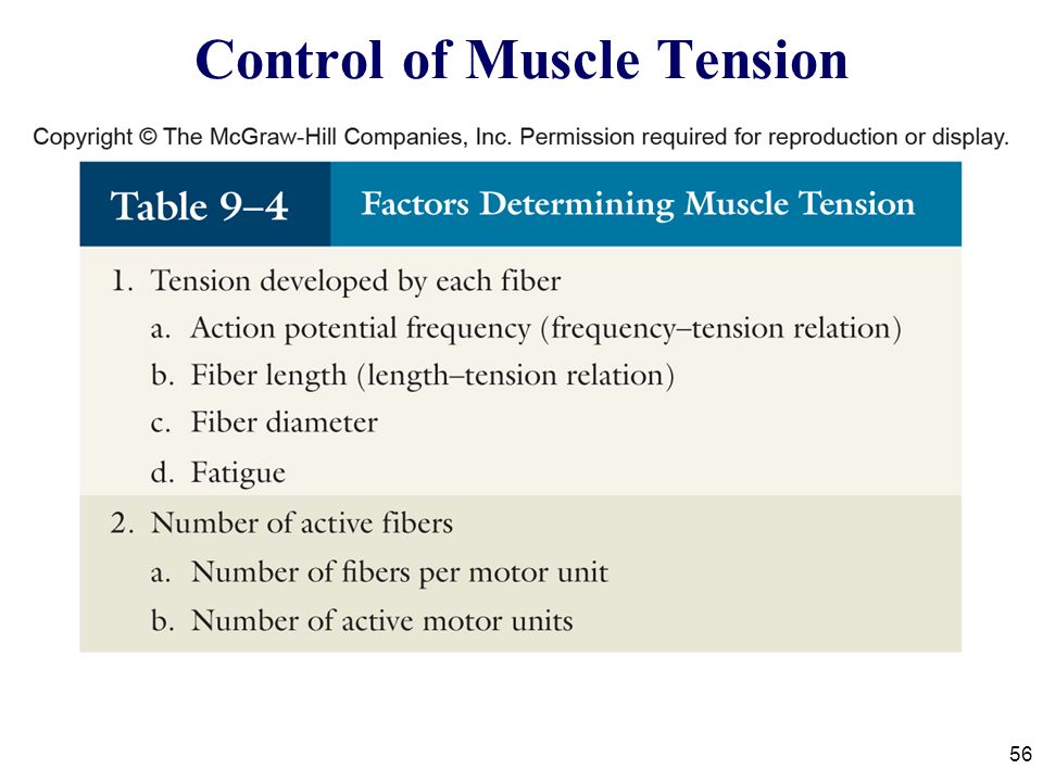 download tissues and organs hierarchical and functional