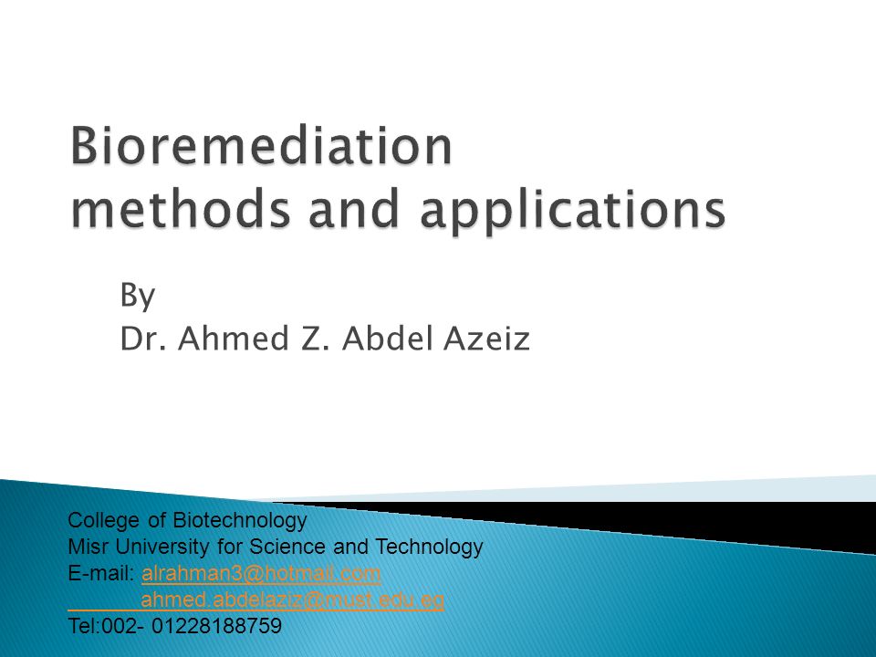 download system modelling and optimization proceedings of