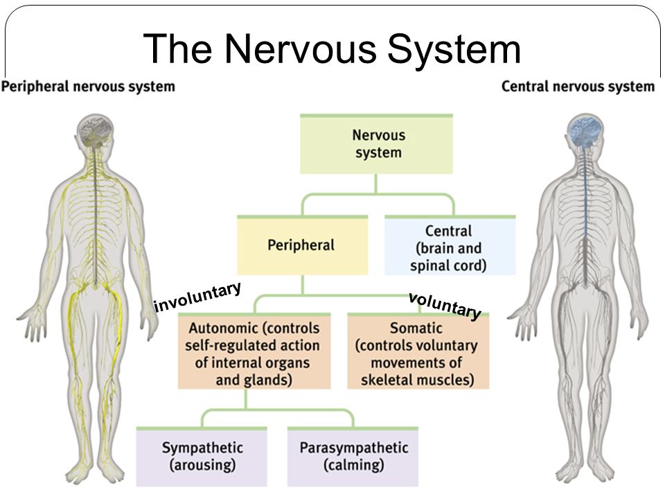 download Instrumentation Systems.