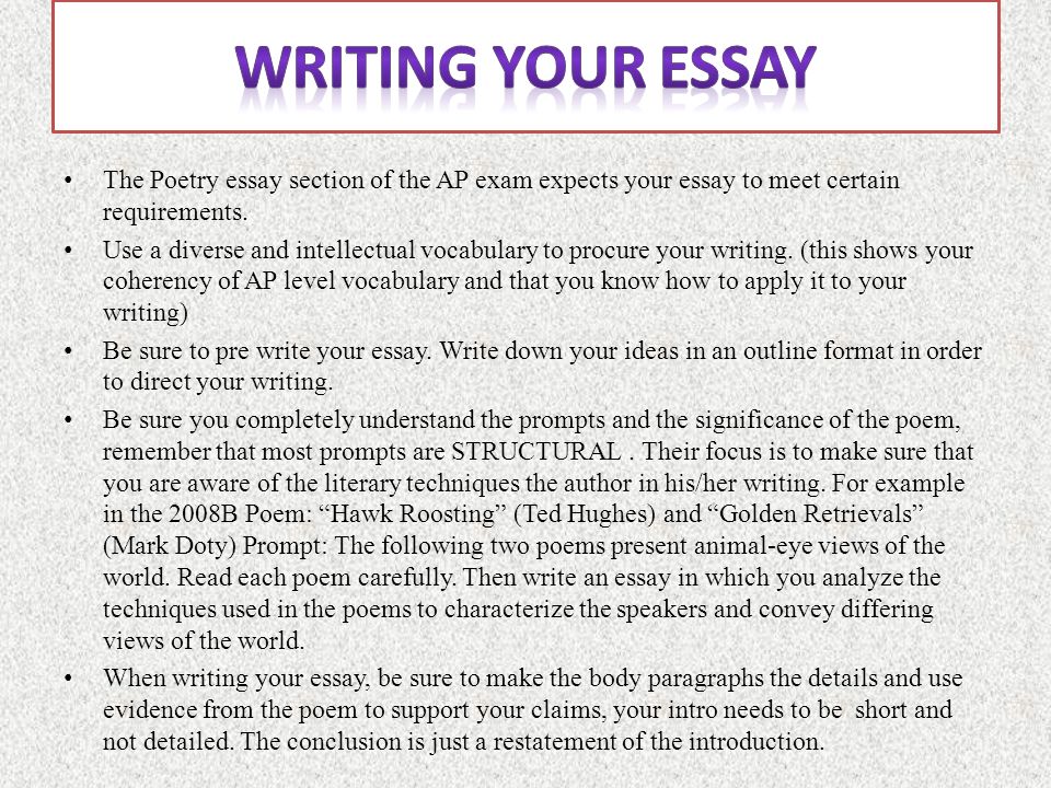 essay on poetry