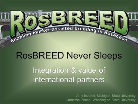 RosBREED Never Sleeps Integration & value of international partners Amy Iezzoni, Michigan State University Cameron Peace, Washington State University.