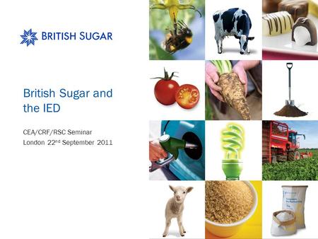 British Sugar and the IED CEA/CRF/RSC Seminar London 22 nd September 2011.