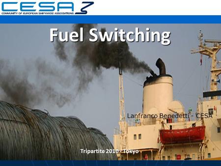 Fuel Switching Lanfranco Benedetti - CESA Tripartite 2010 - Tokyo.