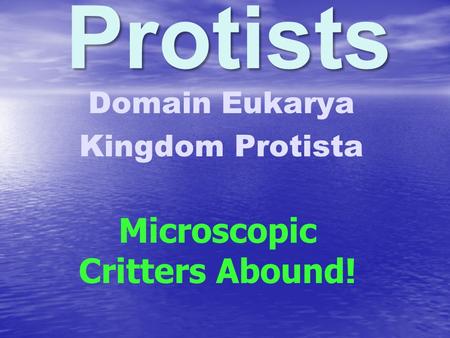 Domain Eukarya Kingdom Protista