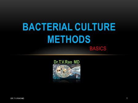 bacterial Culture methods BASICS