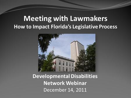 Meeting with Lawmakers How to Impact Floridas Legislative Process Developmental Disabilities Network Webinar December 14, 2011.
