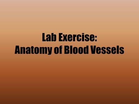 Lab Exercise: Anatomy of Blood Vessels