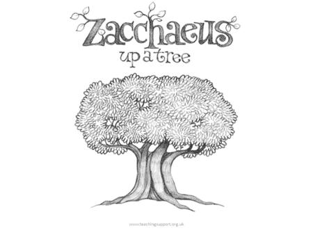 Www.teachingsupport.org.uk. ...you should know about Zacchaeus. Zacchaeus was a little man. And Zacchaeus was a rich man. And nobody liked him very much.