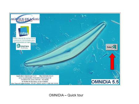 OMNIDIA – Quick tour.