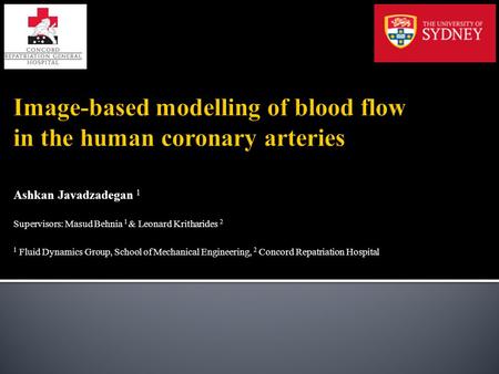 Image-based modelling of blood flow in the human coronary arteries