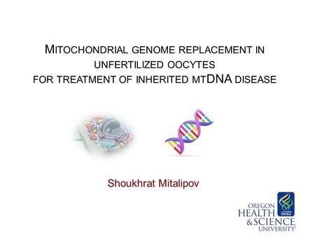 M ITOCHONDRIAL GENOME REPLACEMENT IN UNFERTILIZED OOCYTES FOR TREATMENT OF INHERITED MT DNA DISEASE Shoukhrat Mitalipov 1.