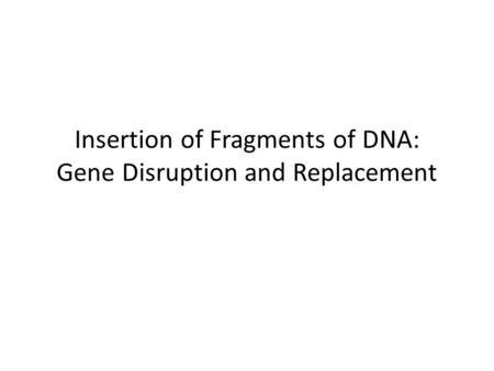 Insertion of Fragments of DNA: Gene Disruption and Replacement.
