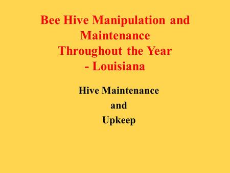 Bee Hive Manipulation and Maintenance Throughout the Year - Louisiana
