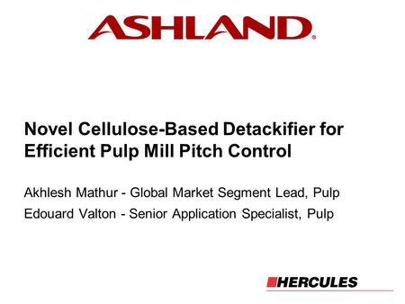 Akhlesh Mathur - Global Market Segment Lead, Pulp
