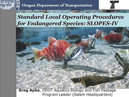 Standard Local Operating Procedures for Endangered Species: SLOPES-IV Greg Apke, ODOT Aquatics Biology and Fish Passage Program Leader (Salem Headquarters)