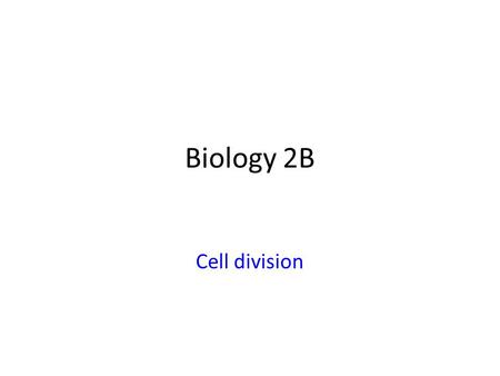 Biology 2B Cell division.