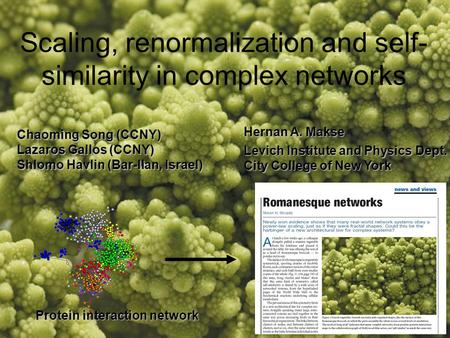 Scaling, renormalization and self- similarity in complex networks Chaoming Song (CCNY) Lazaros Gallos (CCNY) Shlomo Havlin (Bar-Ilan, Israel) Hernan A.