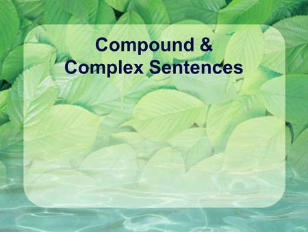 Compound & Complex Sentences