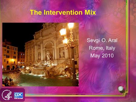 The Intervention Mix Sevgi O. Aral Rome, Italy May 2010.