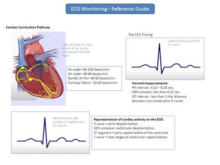 ECG Monitoring – Reference Guide