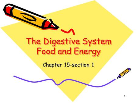 The Digestive System Food and Energy