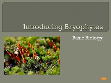 Introducing Bryophytes